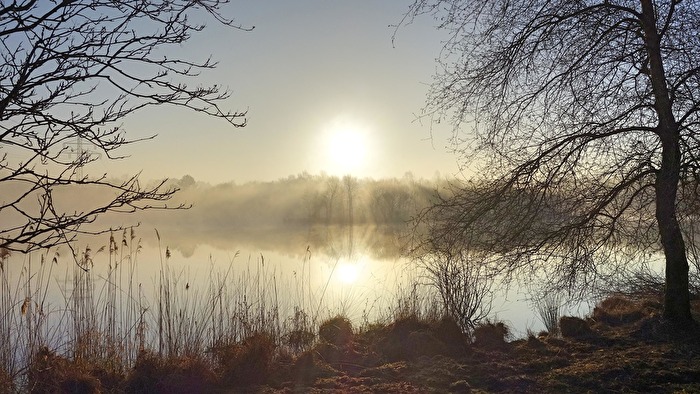 Nebel über dem Ottermeer in Wiesmoor/Ostfriesland