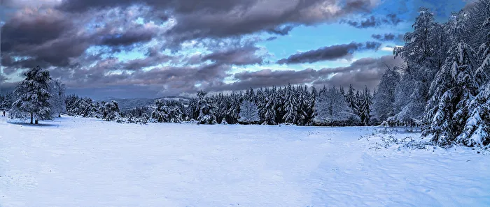 Winterland