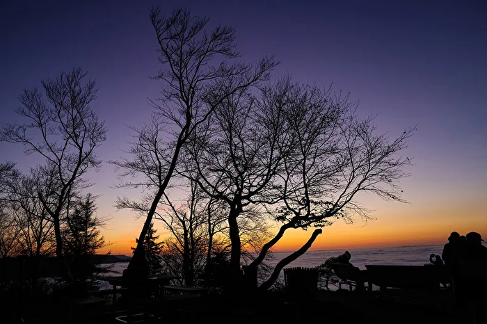 Silhouette - One last look