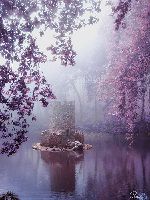 Geheimnisvoller Park