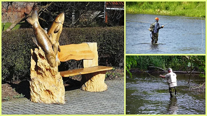 die "Anglerbank"