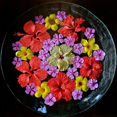 Blumenschale in einem Hotel