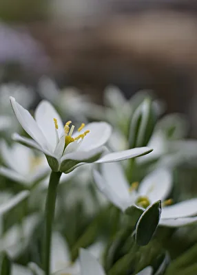 Frühling