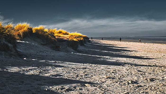 In den Dünen von Schillig
