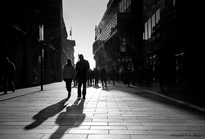 Backlight