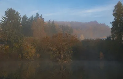 Herbstnebel am Fischweiher