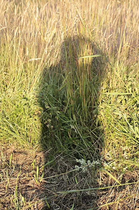 Tagesthema Fotographie