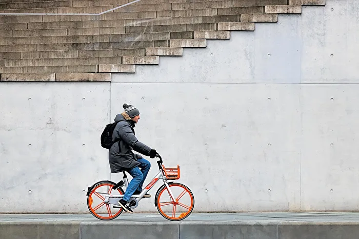The Cyclist