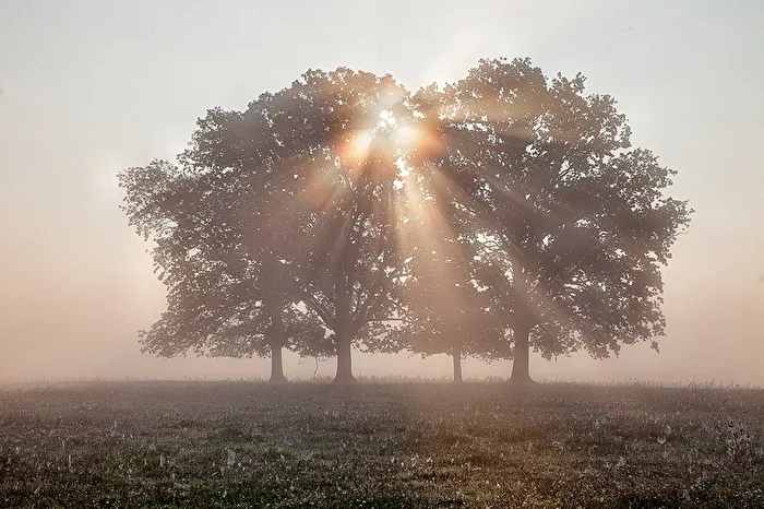 Morgens im Havelland