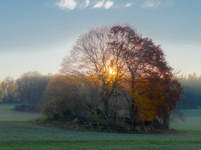 Goldener November
