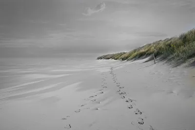 Spuren im Sand