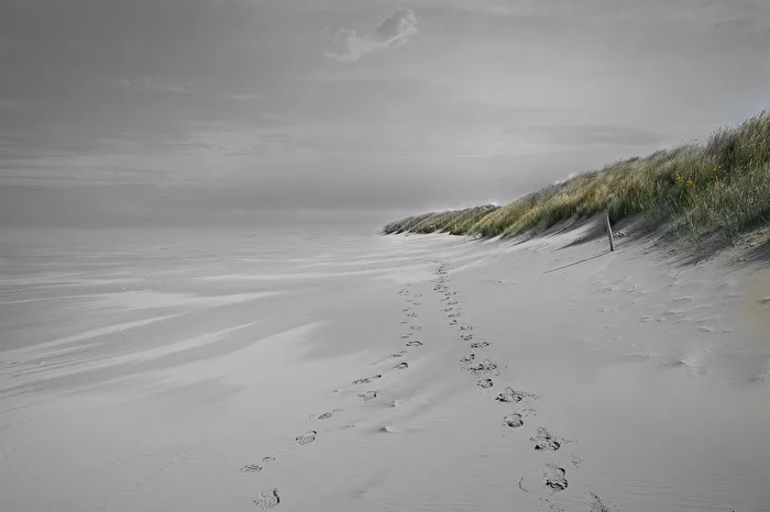 Traces in the Sand