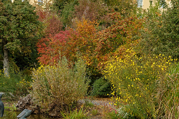 Herbstbäume