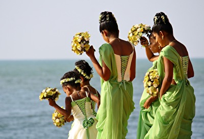 Hochzeitsfeier: Brautjungfern und Blumenmädchen