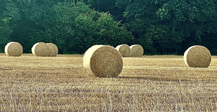 Hay Harvest 2023