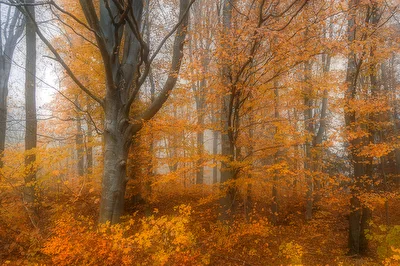 Herbstland