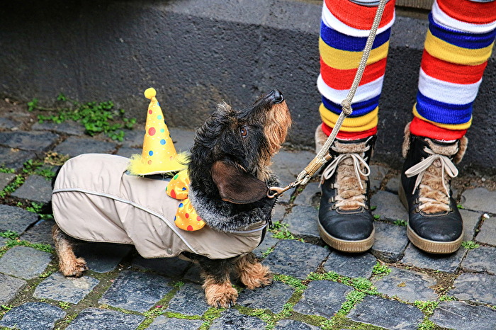 Rosenmontag