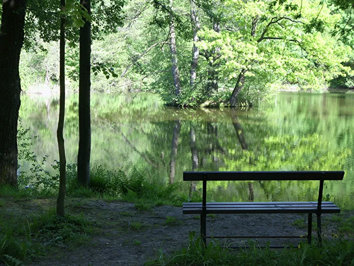 At the pond