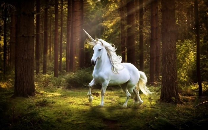 Einhorn