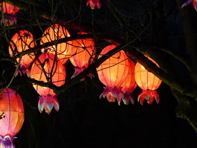 Lampions