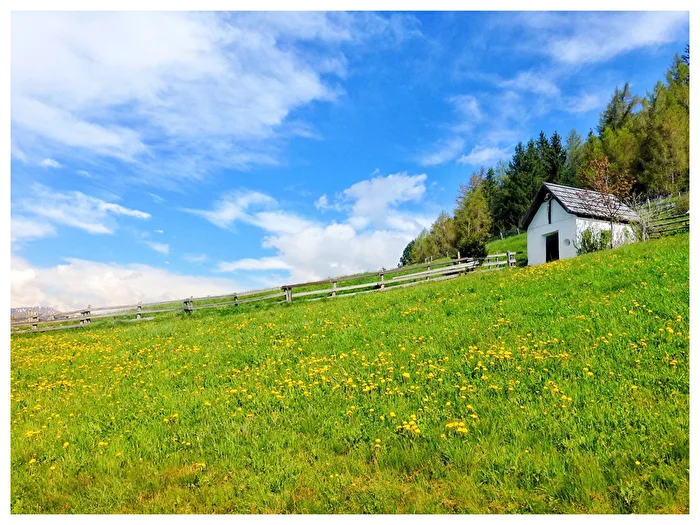 Frühling im Süden