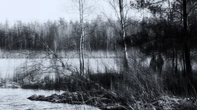 Bad Wurzacher Ried