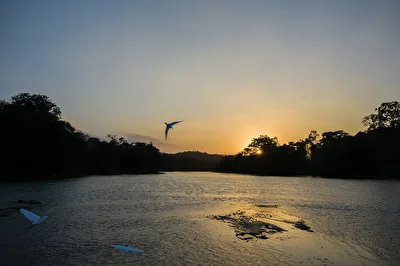 Sonnenuntergang am Rio San Carlos, Costa Rica