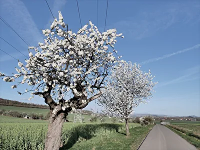 Frühlingslandschaft
