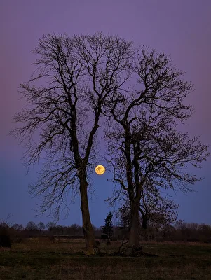 Vollmond im April