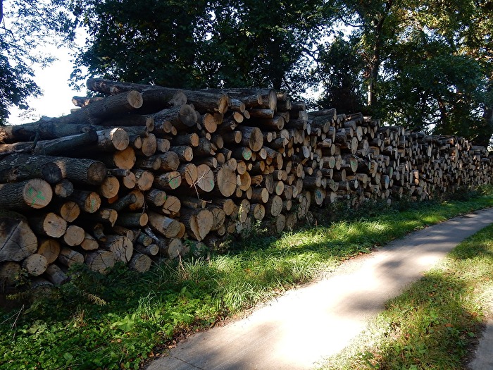 fertig für den Abtransport