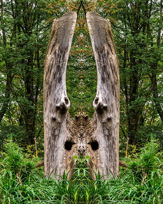 Baumwesen (gespiegeltes Foto)