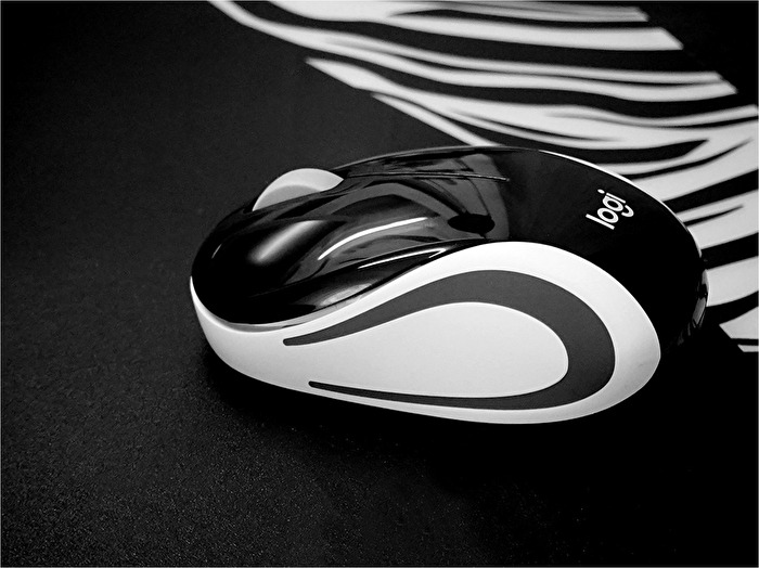 Mouse und Mousepad