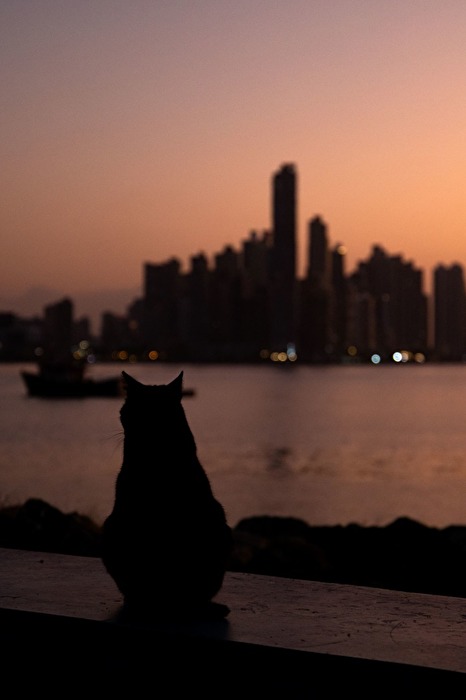 Skyline