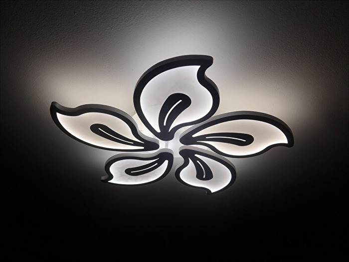 Licht