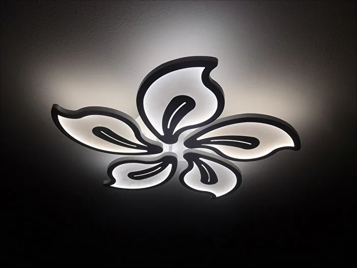 Licht