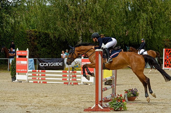 Springreitturnier