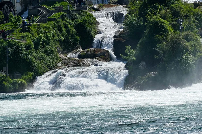 View of the Rhine Falls Schaffhausen 5