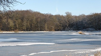 ohne Titel