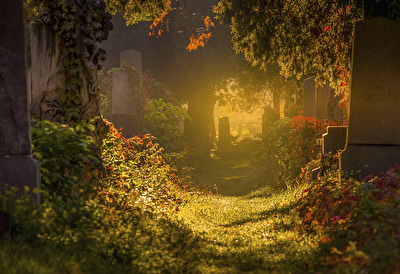 so ein schöner Herbst am Zentralfriedhof in Wien!