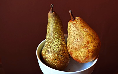Frühling  -  Nur ein Maler kann sie noch schöner darstellen