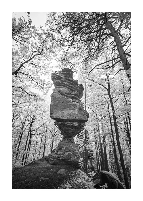 Rumberg Towers - IR