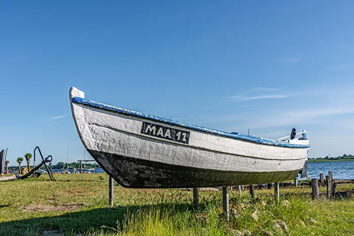MAA 12