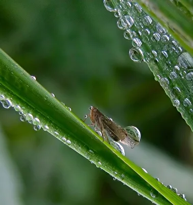 endlich Regen ....