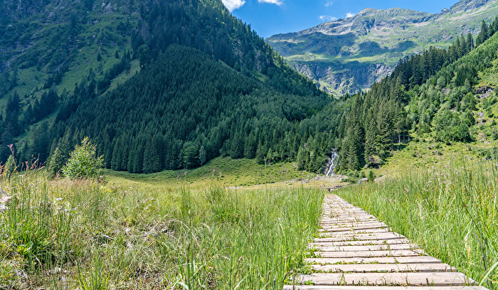 der Steg durch die Moorwiesen zum Wasserfall