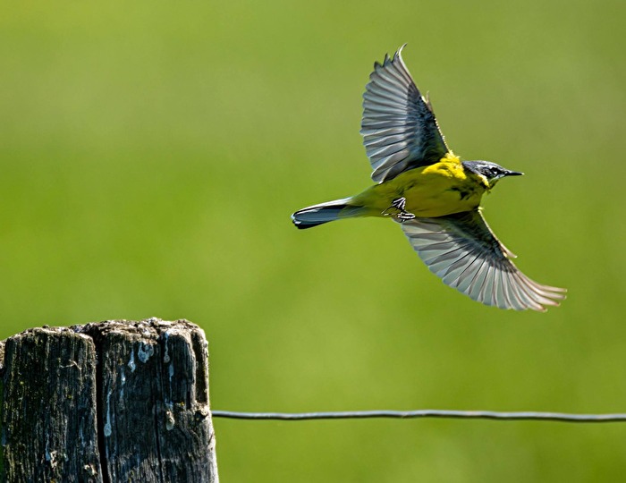 Abflug II