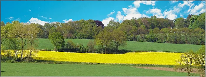 blühende Landschaften
