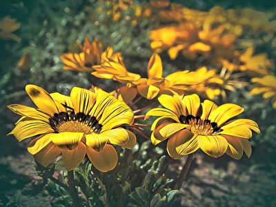 Im Botanischen Garten