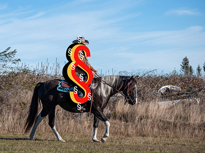 Der Paragraphen-Reiter