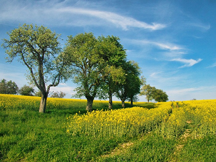 Landschaftlich