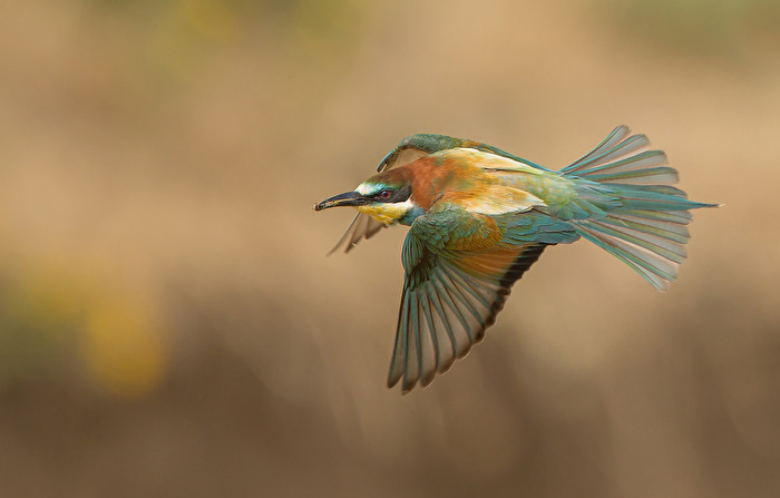 Vorbeiflug